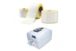 Etichete autoadezive detașabile 100x100 mm, 500 buc., hârtie pentru TTR, rola