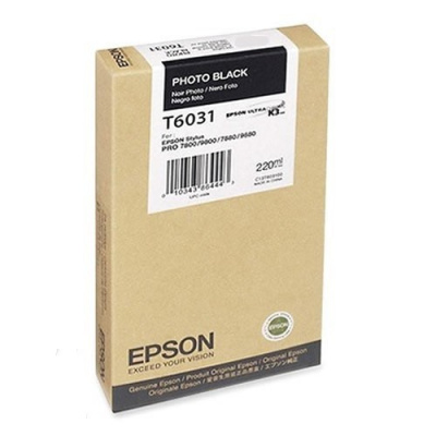 Epson C13T603100 foto negru (photo black) cartus original