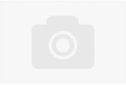 Smart Print FG-S188-E1, filament 3D, PETG, 1,75mm, 3000g, Gri (Grey)