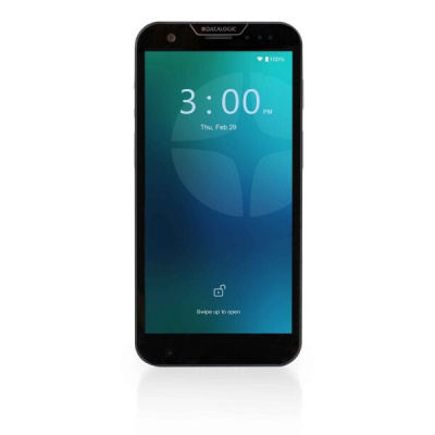 Datalogic Memor 30-35, 2D, SR, PTT, USB-C, BT (BLE), Wi-Fi (Wi-Fi), 5G, NFC, Android, GMS, RB, black