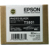 Epson T5801 foto negru (photo black) cartus original