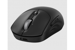 Mouse wireless reîncărcabil HP 705