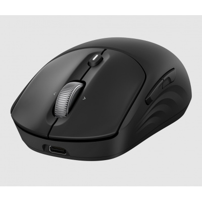 Mouse wireless reîncărcabil HP 705