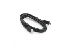 Zebra connection cable, USB-C