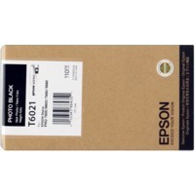 Epson T602100 photo negru (photo black) cartus original