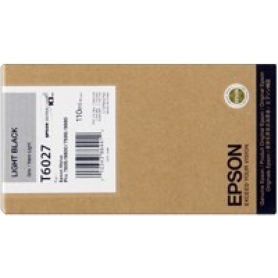 Epson C13T602700 deschis negru (light black) cartus original