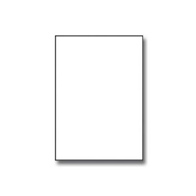Etichete autoadezive 210 x 297 mm, 1 de etichete, A4, 100 coli