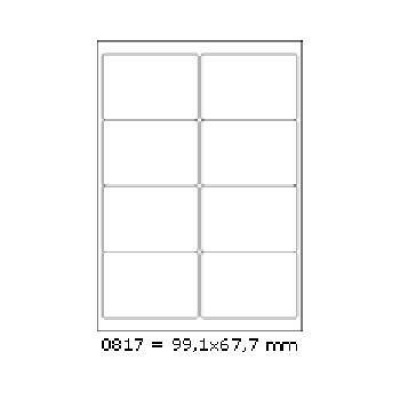 Etichete autoadezive R0100.0817 99,1 x 67,7 mm, 8 de etichete, A4, 100 coli
