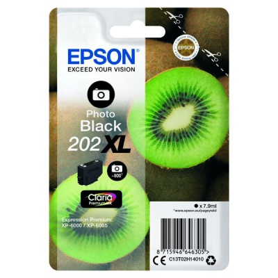 Epson 202XL C13T02H14010 foto negru (photo black) cartus original