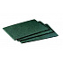 3M Scotch-Brite™ 96 Burete abraziv pentru bucătării, verde, 158 x 224 mm