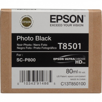 Epson T8501 C13T850100 foto negru (photo black) cartus original