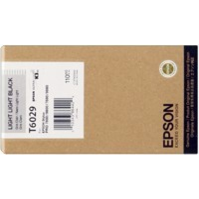 Epson T602900 negru deschis (light black) cartus original