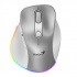 Mouse Fara fir, Genius Ergo 9000S Pro 31030039402, argint, optical, 2400DPI