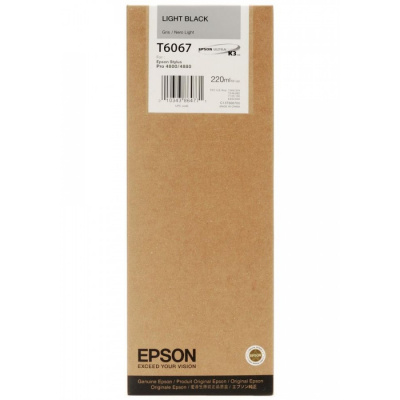 Epson T606700 negru deschis (light black) cartus original
