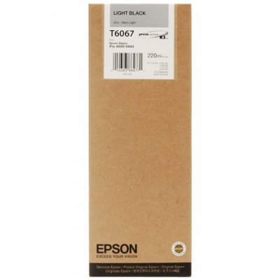 Epson C13T606700 deschis negru (light black) cartus original