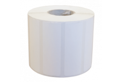 Zebra 3017015 8100T CryoCool, 51 x 25 mm, 2700 de etichete, albe
