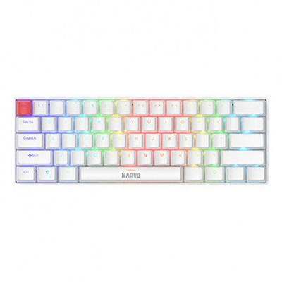 Marvo SABER 61, tastatură US, gaming, cablat (USB), alb, mecanică, lumina de fundal