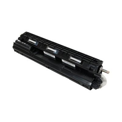 Ricoh M0263030 negru (black) developer original