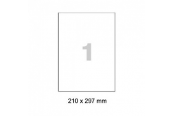 Etichete autoadezive R0501.1123 210 x 297 mm, 1 de etichetea, A4, 100 coli
