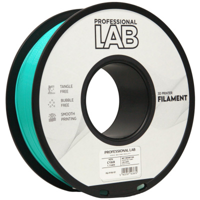 Professional Lab FG-P196-E1, filament 3D, PETG, 1,75mm, 1000g, Azuriu (Cyan)