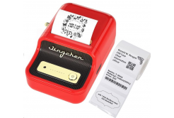 Niimbot B21 Smart 1AC13082002 imprimantă de etichete + rola etichete