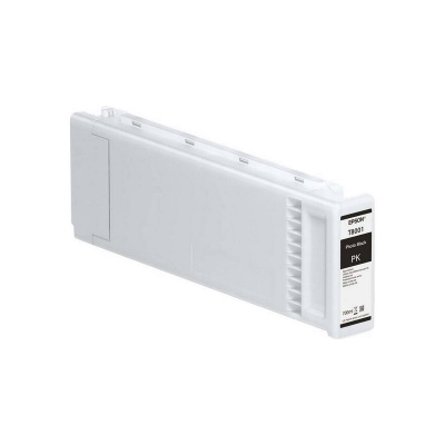 Epson T8001 C13T800100 foto negru (photo black) cartus original