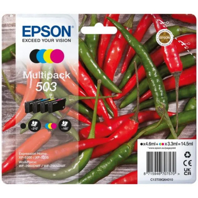 Epson 503 T09Q640 C13T09Q64010 color (CMYK) multipack cartus original