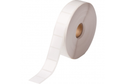 Brady BPT-164-481 / 804784, etichete din hârtie termică, 22.86 mm x 22.86 mm